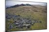 Preseli Hills (Mynyddoedd Y Preseli)-Duncan Maxwell-Mounted Photographic Print