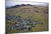 Preseli Hills (Mynyddoedd Y Preseli)-Duncan Maxwell-Mounted Photographic Print