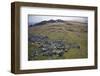 Preseli Hills (Mynyddoedd Y Preseli)-Duncan Maxwell-Framed Photographic Print