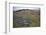 Preseli Hills (Mynyddoedd Y Preseli)-Duncan Maxwell-Framed Photographic Print