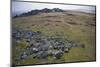 Preseli Hills (Mynyddoedd Y Preseli)-Duncan Maxwell-Mounted Photographic Print