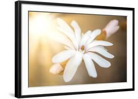 Presence-Philippe Sainte-Laudy-Framed Photographic Print