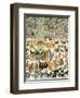 Present Time, 2012-Pat Scott-Framed Giclee Print