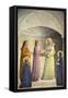 Presentation of Jesus at the Temple-Giovanni Da Fiesole-Framed Stretched Canvas