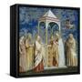 Presentation of Jesus at the Temple-null-Framed Stretched Canvas