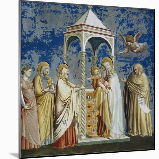 Presentation of Jesus at the Temple-null-Mounted Giclee Print