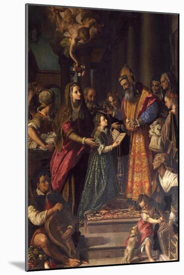Presentation of Mary at Temple-Alessandro Allori-Mounted Giclee Print