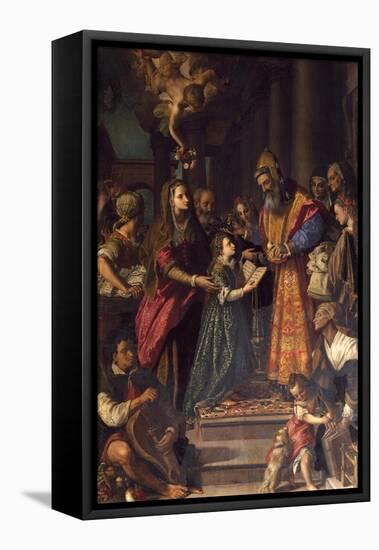 Presentation of Mary at Temple-Alessandro Allori-Framed Stretched Canvas