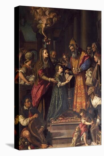 Presentation of Mary at Temple-Alessandro Allori-Stretched Canvas