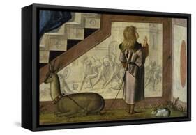 Presentation of Mary at the Temple, Detail-Vittore Carpaccio-Framed Stretched Canvas