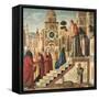 Presentation of Mary in the Temple-Vittore Carpaccio-Framed Stretched Canvas