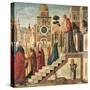Presentation of Mary in the Temple-Vittore Carpaccio-Stretched Canvas