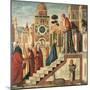 Presentation of Mary in the Temple-Vittore Carpaccio-Mounted Giclee Print