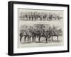 Presentation of New Colours to the First Battalion of the Norfolk Regiment at Aldershot by the Prin-Godefroy Durand-Framed Giclee Print