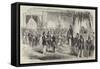 Presentation of the Grand Cordon of the Legion of Honour to the Sultan, at Constantinople-null-Framed Stretched Canvas