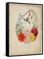 Presentation Page, Flower Garland and Humming Bird, from Flora's Dictionary, 1838-E. W. Wirt-Framed Stretched Canvas