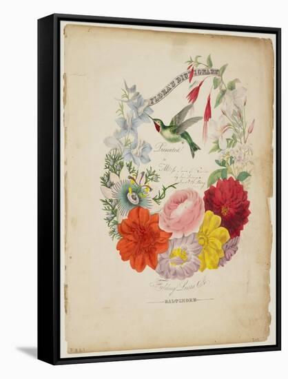 Presentation Page, Flower Garland and Humming Bird, from Flora's Dictionary, 1838-E. W. Wirt-Framed Stretched Canvas