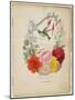 Presentation Page, Flower Garland and Humming Bird, from Flora's Dictionary, 1838-E. W. Wirt-Mounted Giclee Print
