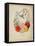 Presentation Page, Flower Garland and Humming Bird, from Flora's Dictionary, 1838-E. W. Wirt-Framed Stretched Canvas