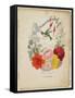 Presentation Page, Flower Garland and Humming Bird, from Flora's Dictionary, 1838-E. W. Wirt-Framed Stretched Canvas