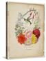 Presentation Page, Flower Garland and Humming Bird, from Flora's Dictionary, 1838-E. W. Wirt-Stretched Canvas