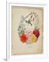 Presentation Page, Flower Garland and Humming Bird, from Flora's Dictionary, 1838-E. W. Wirt-Framed Premium Giclee Print