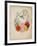 Presentation Page, Flower Garland and Humming Bird, from Flora's Dictionary, 1838-E. W. Wirt-Framed Giclee Print