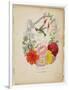 Presentation Page, Flower Garland and Humming Bird, from Flora's Dictionary, 1838-E. W. Wirt-Framed Premium Giclee Print