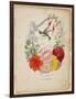 Presentation Page, Flower Garland and Humming Bird, from Flora's Dictionary, 1838-E. W. Wirt-Framed Premium Giclee Print