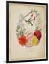 Presentation Page, Flower Garland and Humming Bird, from Flora's Dictionary, 1838-E. W. Wirt-Framed Premium Giclee Print