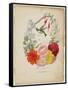 Presentation Page, Flower Garland and Humming Bird, from Flora's Dictionary, 1838-E. W. Wirt-Framed Stretched Canvas