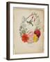 Presentation Page, Flower Garland and Humming Bird, from Flora's Dictionary, 1838-E. W. Wirt-Framed Giclee Print