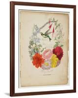 Presentation Page, Flower Garland and Humming Bird, from Flora's Dictionary, 1838-E. W. Wirt-Framed Giclee Print