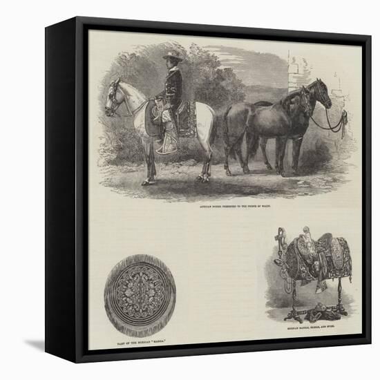 Presents from Mexico to Her Majesty and the Prince of Wales-null-Framed Stretched Canvas