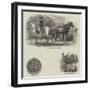 Presents from Mexico to Her Majesty and the Prince of Wales-null-Framed Giclee Print