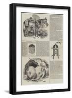 Presents to Queen Victoria from the Christian King of Shoa-null-Framed Giclee Print