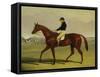 'Preserve' with Flatman Up at Newmarket, 1835-John Frederick Herring Jnr-Framed Stretched Canvas