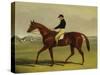 'Preserve' with Flatman Up at Newmarket, 1835-John Frederick Herring Jnr-Stretched Canvas
