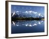 Preserve-null-Framed Photo