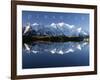 Preserve-null-Framed Photo