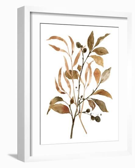 Preserved Autumn Leaves I-Victoria Barnes-Framed Art Print