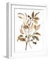 Preserved Autumn Leaves I-Victoria Barnes-Framed Art Print