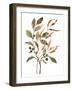 Preserved Autumn Leaves II-Victoria Barnes-Framed Art Print