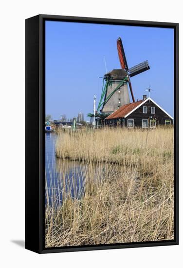 Preserved Historic Windmills and Houses in Zaanse Schans-Amanda Hall-Framed Stretched Canvas