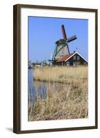 Preserved Historic Windmills and Houses in Zaanse Schans-Amanda Hall-Framed Photographic Print