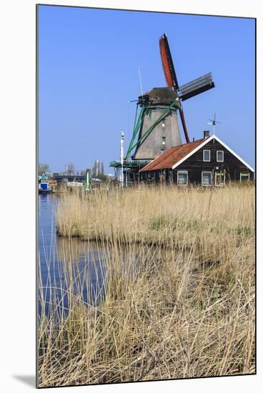 Preserved Historic Windmills and Houses in Zaanse Schans-Amanda Hall-Mounted Photographic Print