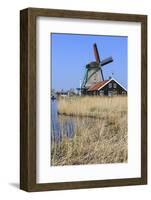 Preserved Historic Windmills and Houses in Zaanse Schans-Amanda Hall-Framed Photographic Print