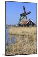 Preserved Historic Windmills and Houses in Zaanse Schans-Amanda Hall-Mounted Photographic Print