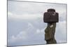 Preserved Original Moai in the Tahai Archaeological Zone-Michael Nolan-Mounted Photographic Print