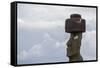 Preserved Original Moai in the Tahai Archaeological Zone-Michael Nolan-Framed Stretched Canvas